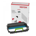Tamburo di stampa originale Xerox 013R00690 Nero