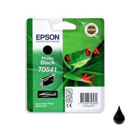 Epson Cartuccia Originale Nero Photo T0541 (C13T05414020)