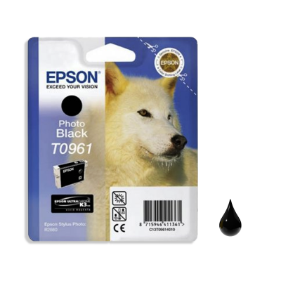 Epson Cartuccia originale Nero Photo T0961 (C13T09614020) Epson Cartuccia originale Nero Photo T0961 (C13T09614020)