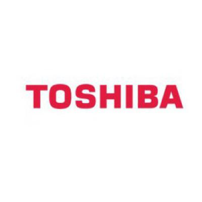 Cassetta punti metallici Toshiba 6A000001023 Cassetta punti metallici Toshiba 6A000001023