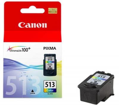 Canon Cartuccia originale Ciano Magenta Giallo CL-513 (2971B001AA) Canon Cartuccia originale Ciano Magenta Giallo CL-513 (2971B001AA)