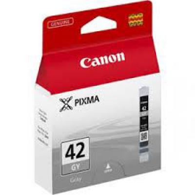 Canon Cartuccia Originale Grigio CLI-42GY (6390B001) Canon Cartuccia Originale Grigio CLI-42GY (6390B001)