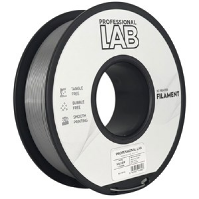 Filamento 3D PETG Silver 1,75mm da 1Kg Professional LAB